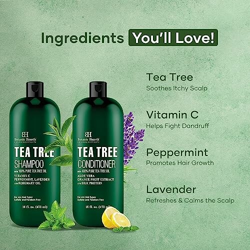 Botanic Hearth Tea Tree Shampoo and Conditioner Set